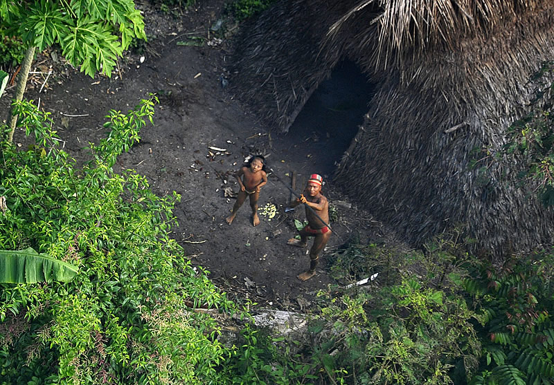 ‘Uncontacted’ Amazon tribe members reported killed in Brazil