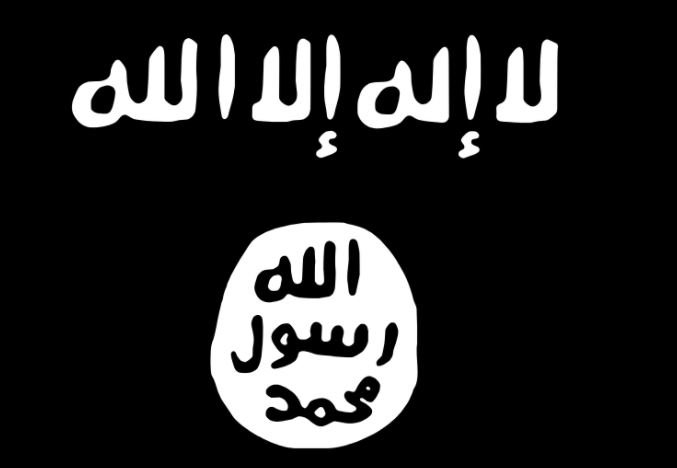 Watch: American who fought for ISIS captured by SDF