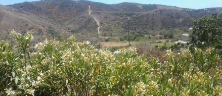 Op-Ed: Back in the day, when hazing was training