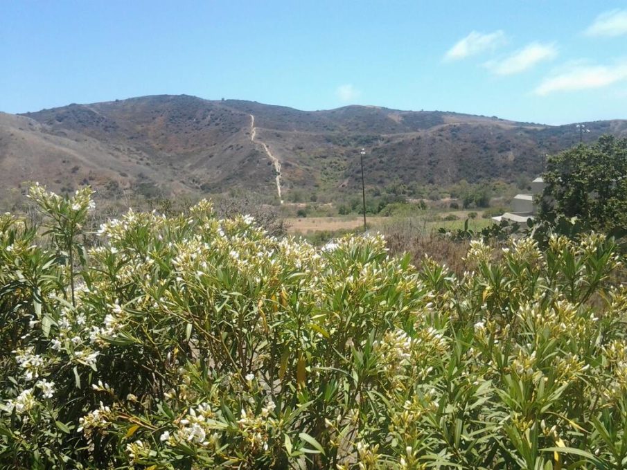 Op-Ed: Back in the day, when hazing was training