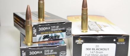Is .300 AAC Blackout the ultimate CQB round ?