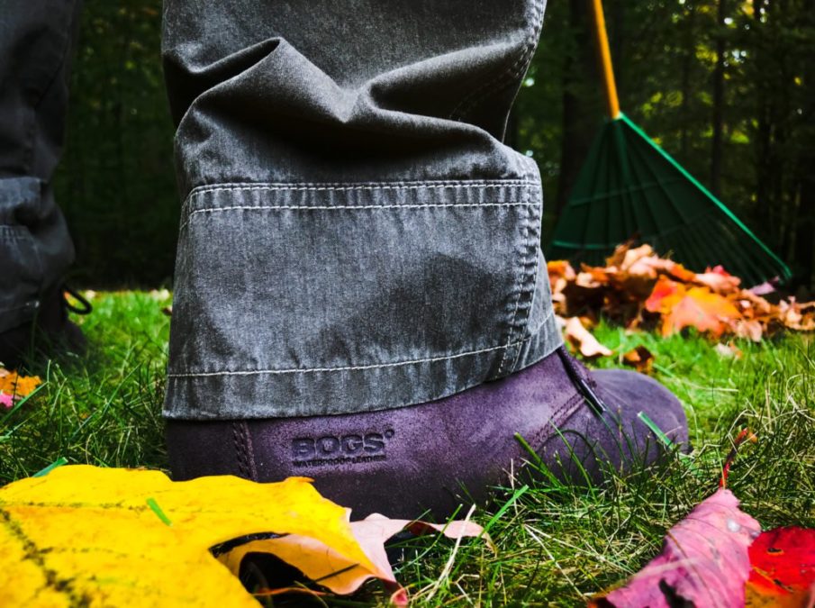 Bogs Johnny Chukka II | Everyday work boots