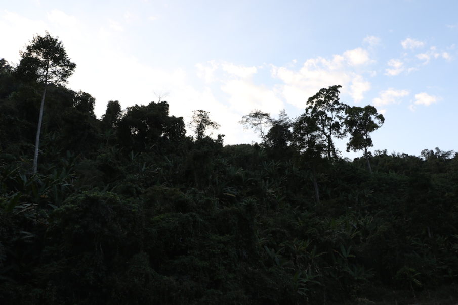 Marginalized Medicine: surgery in the sticks