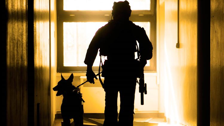 SOF Pic of the day: An operator and his dog