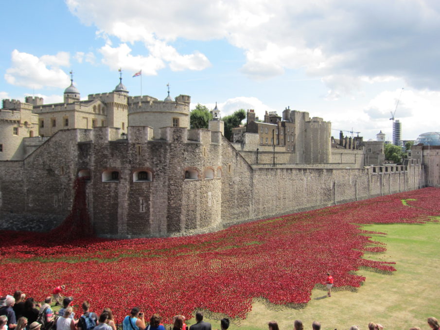 Remembrance Day: History of the poppy