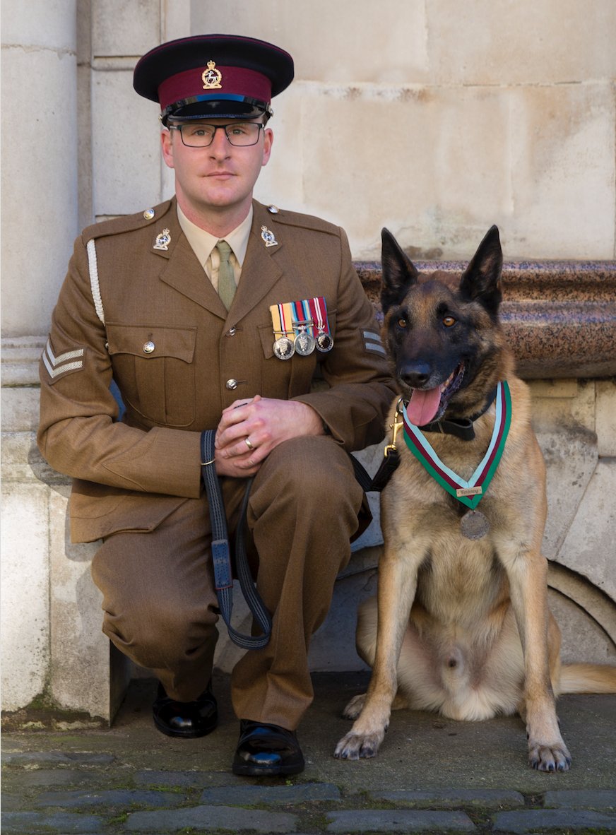 UK Special Forces dog receives Victoria Cross equivalent