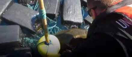 Coast Guard frees sea turtle from cocaine bales