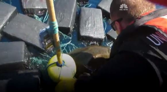 Coast Guard frees sea turtle from cocaine bales