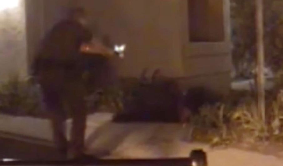 California Sheriff’s deputy curb stomps suspect