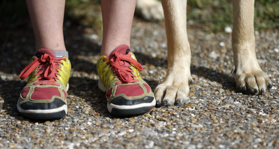 Veteran catharsis: Getting a dog