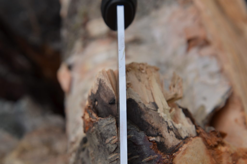 Morakniv Garberg: The best knife for bushcraft and survival?