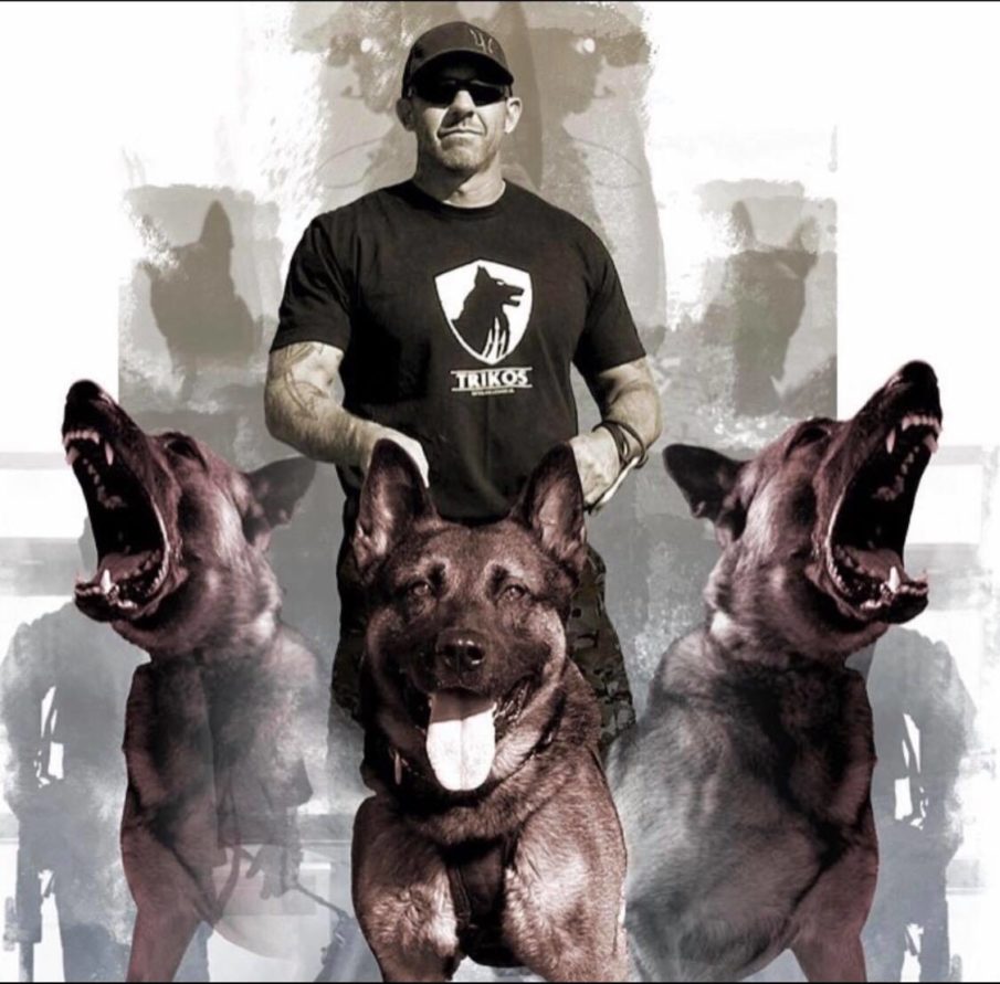 Watch: Release The dogs of war