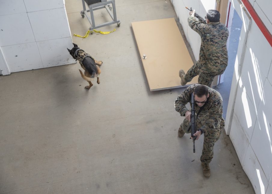 SOF Pic of the Day: Clearing a room with Marine Raiders
