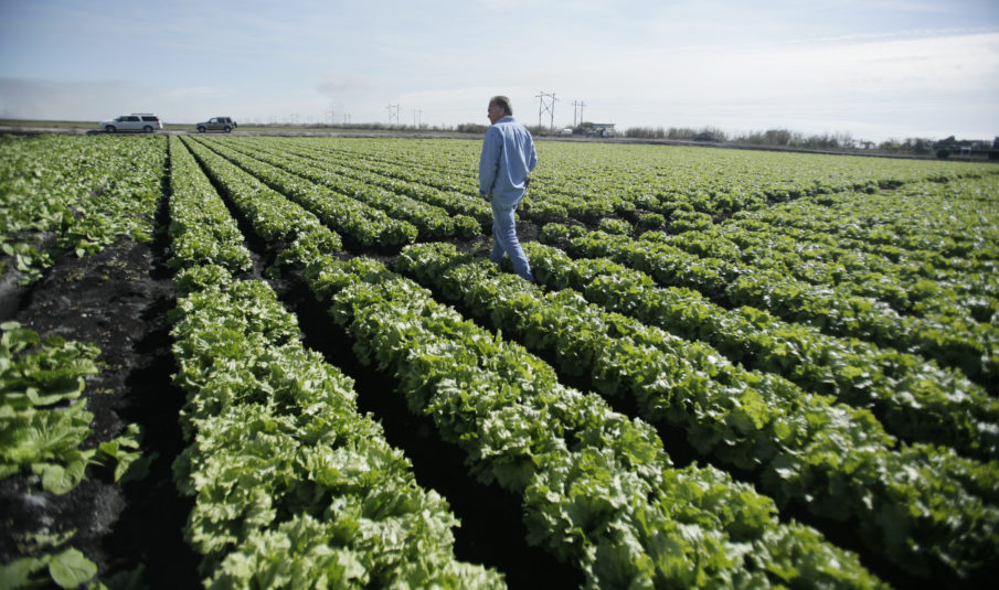 Veterans Agriculture Selection Program: Preparing Floridian veterans for a life of farming