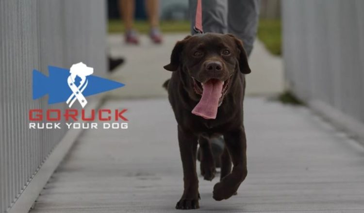 Another Opportunity to Ruck For a Great Cause, “Ruck Your Dog”