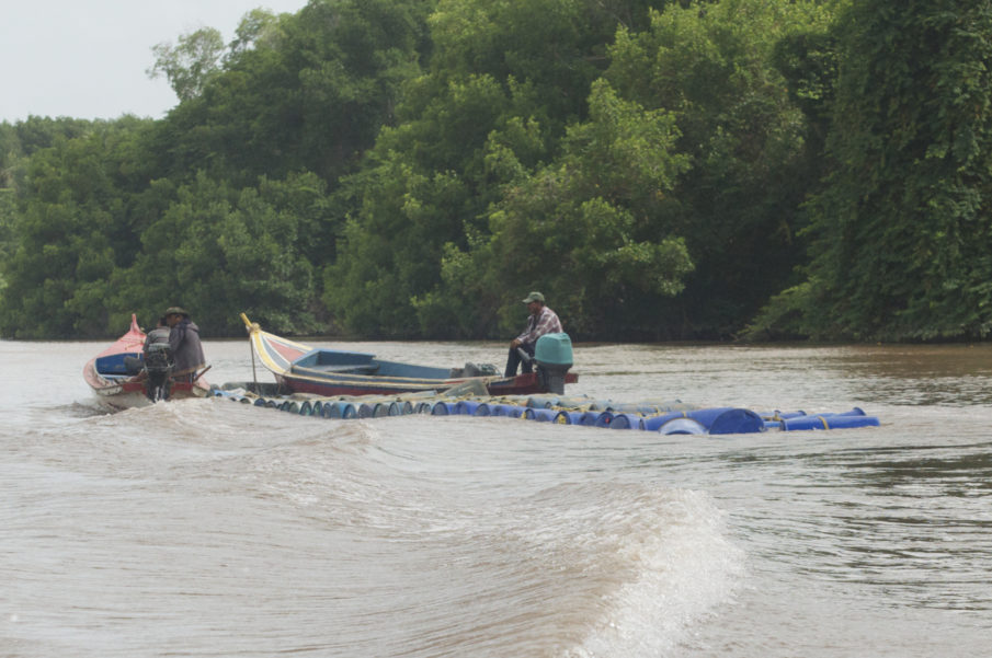 Pirates of the Caribbean