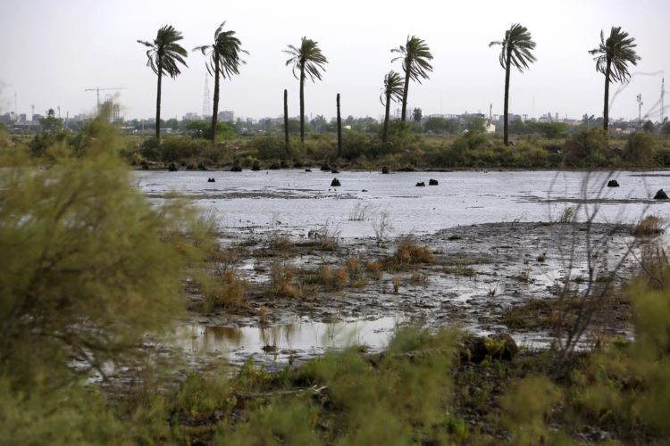 Hundreds hospitalized because of contaminated drinking water in Basra