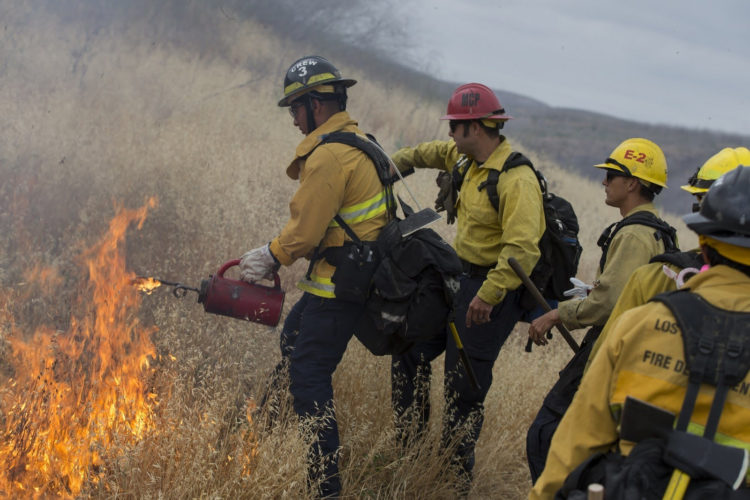 The Pic of the Day: Firefighters in California train with controlled fires