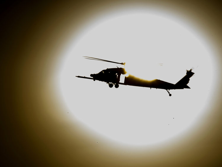 The Pic of the Day: Pavehawk in the sun