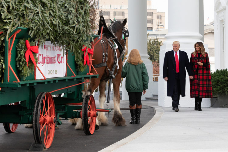 The Pic of the Day: The White House receives a Christmas delivery