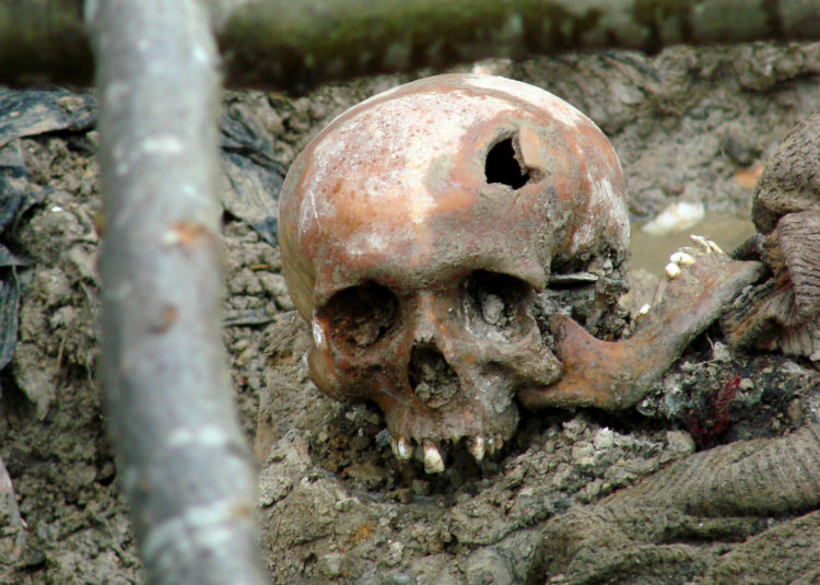 A Delta Operator Describes the Stench of the Mass Graves of Bosnia,1995