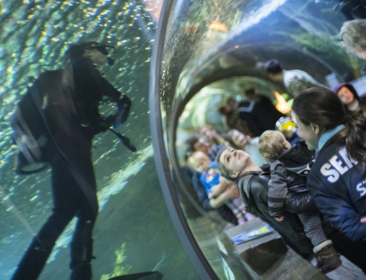 The Pic of the Day: Navy divers put on a show in Minneapolis