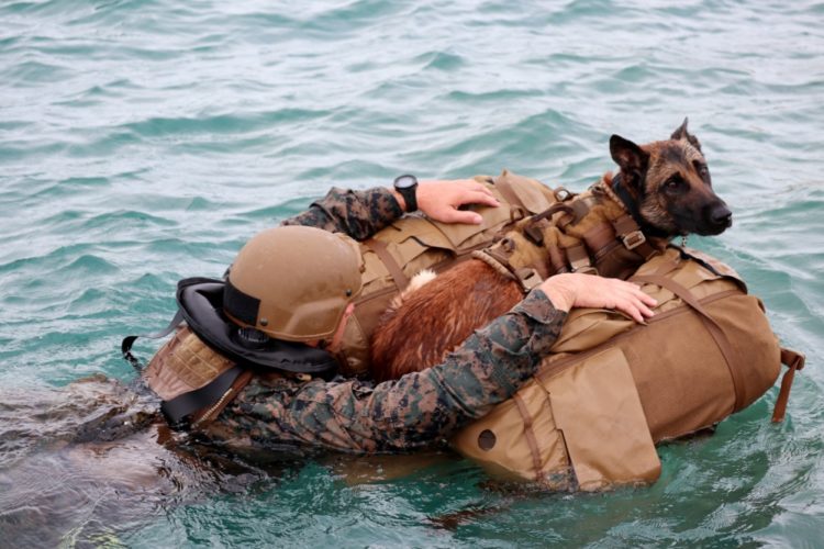 The Pic of the Day: Special operations Marines and their K9s