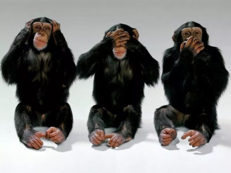 Military Leadership’s Problem as Told by Three Monkeys