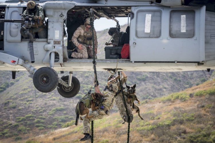 The Pic of the Day: Marine Raiders and their K-9s