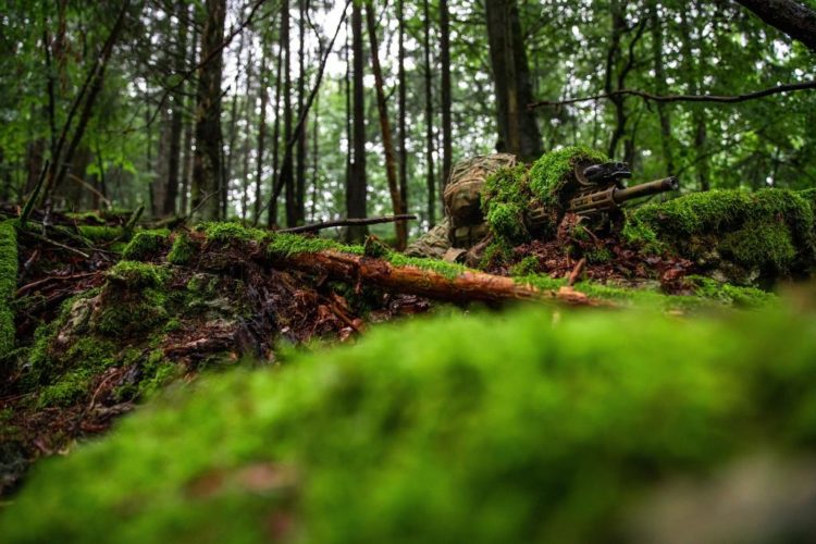 The Pic of the Day: Ukrainian sniper taking aim