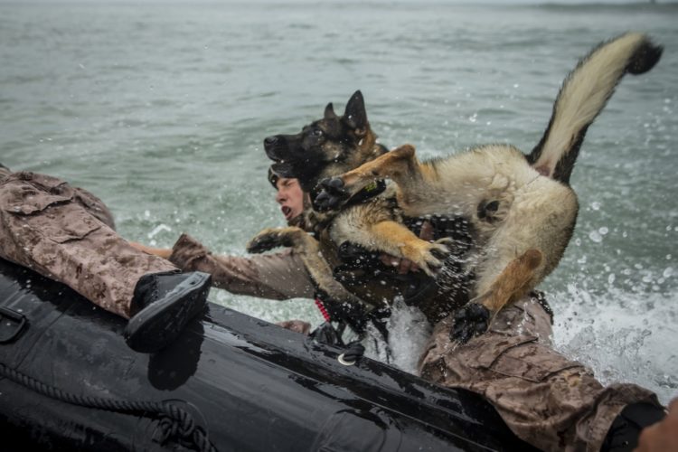 Secretary of the Navy fired over Navy SEAL drama