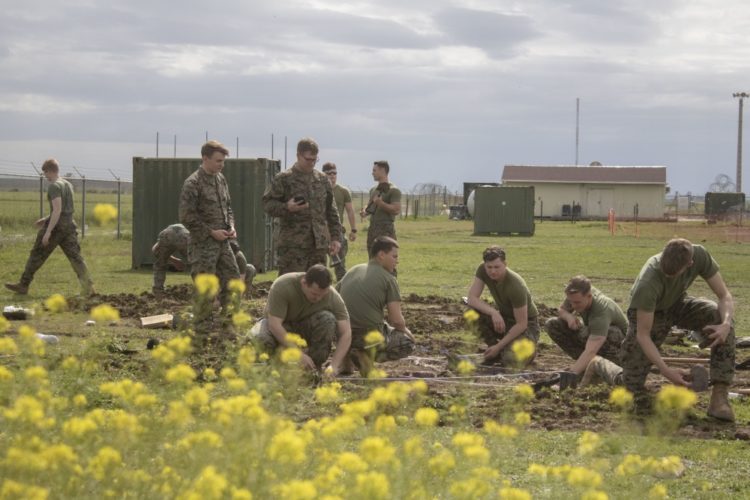 The Pic of the Day: Day 44 of Quarantine, Marines have now shifted to gardening