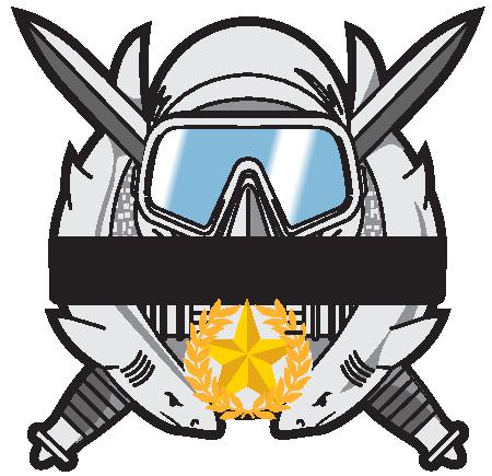 A different perspective on the state of the SF Combat Diver capability