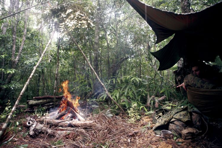 Survival Shelter | Five items to help you make a field shelter like a snake eater