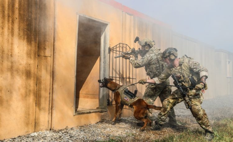 Honoring the Niger Special Forces team this Memorial Day