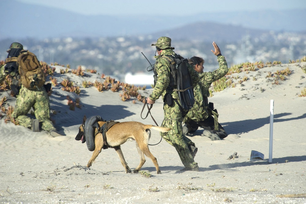 The Pic of the Day: Over-the-Beach training the Navy SEAL way