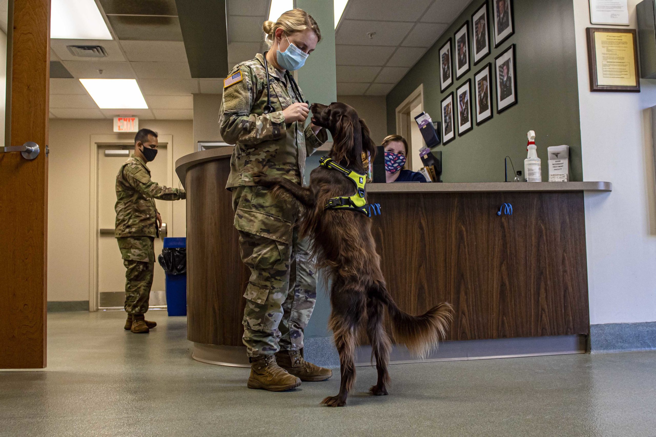 The Pic of the Day: Time for a treat