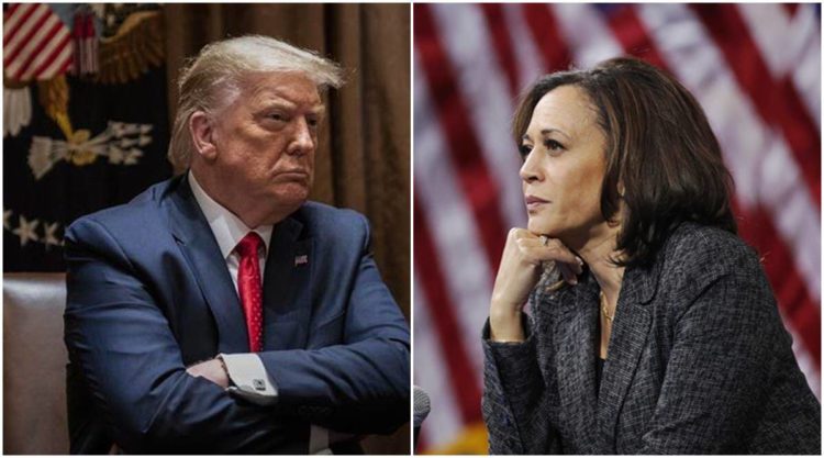 Ready for a Trump-Harris Administration?  It’s a Possibility.