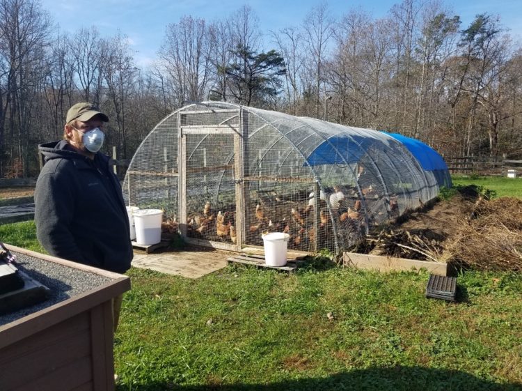 Fields 4 Valor: Using Farm Life to Rehabilitate Combat Veterans