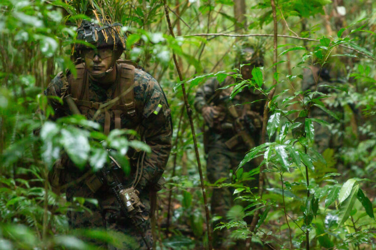 Marines Sharpen Their Jungle Survival Skills in Japan