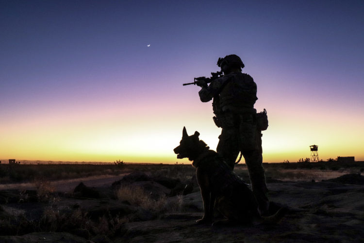Navy SEAL Sniper JT and his Faithful Labrador Hawkeye