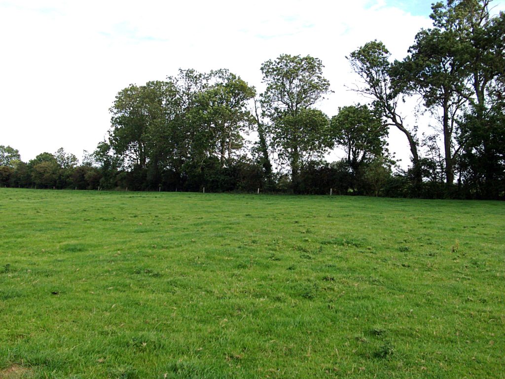 Brecourt Manor today