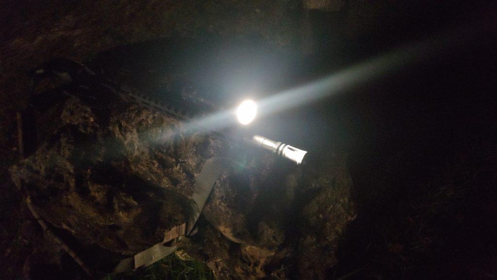 Rein micro rifle light