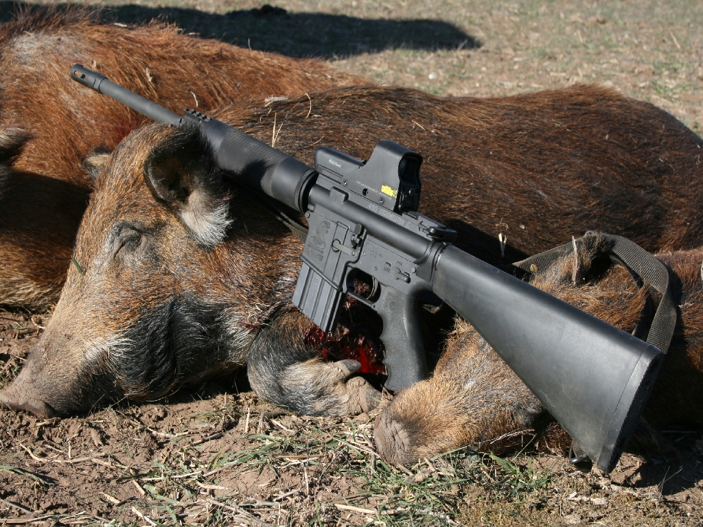 dead hog AR 15
