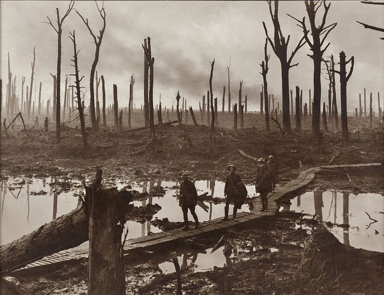 Chateau Wood Ypres salient WWI