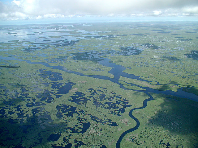 everglades aerial photo