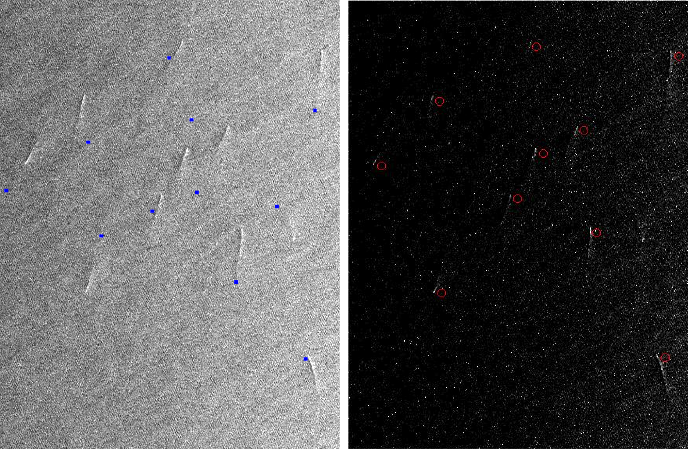 Gulf of Carpentaria search and rescue images