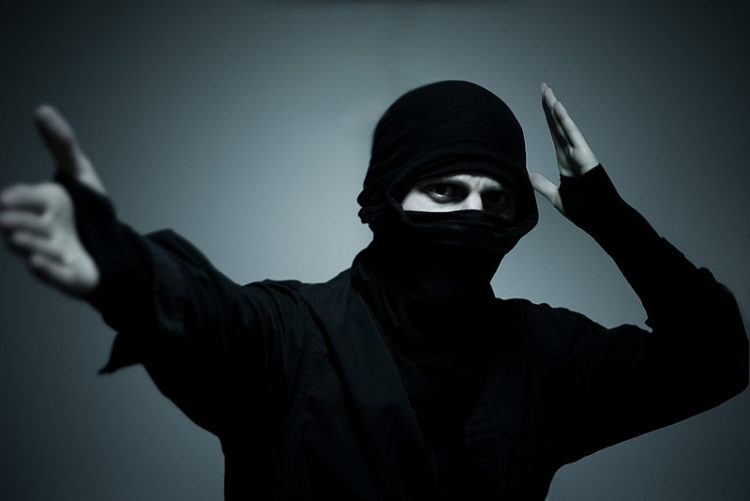 Ninjas Were Cool, But Not In The Way We Know Them