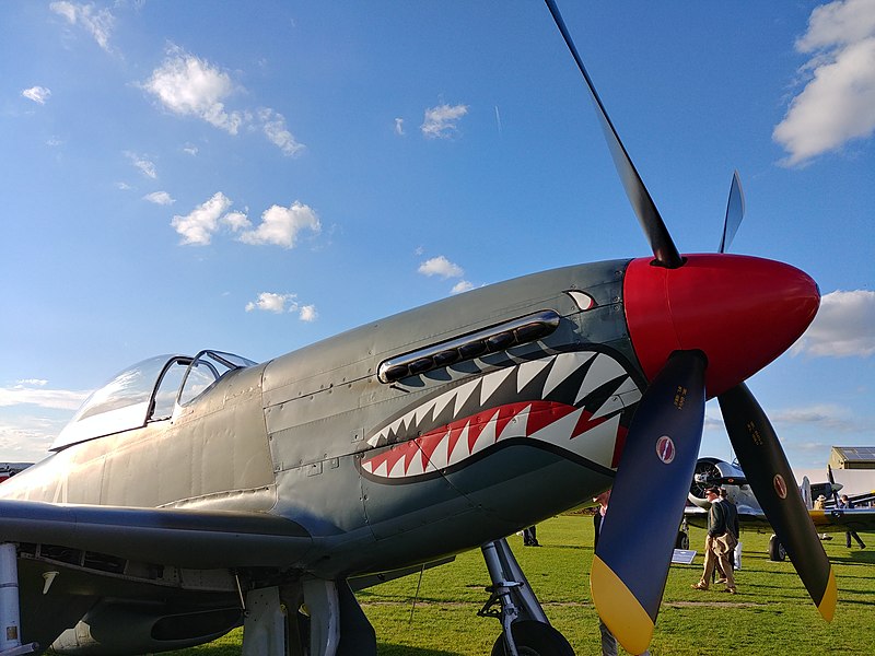 Mustang Sharkmouth nose art