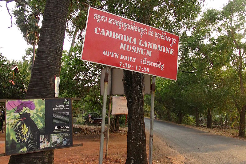 Cambodia Landmine
